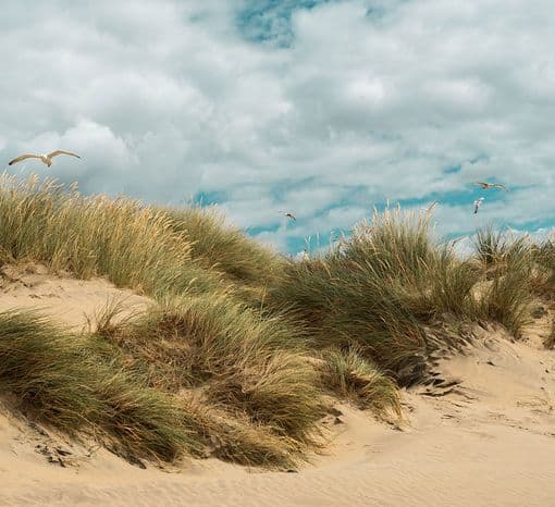 Why are the Bay Head Ocean Front Property Owners Opposed to the Dune/Berm Project Proposed By the State of New Jersey?