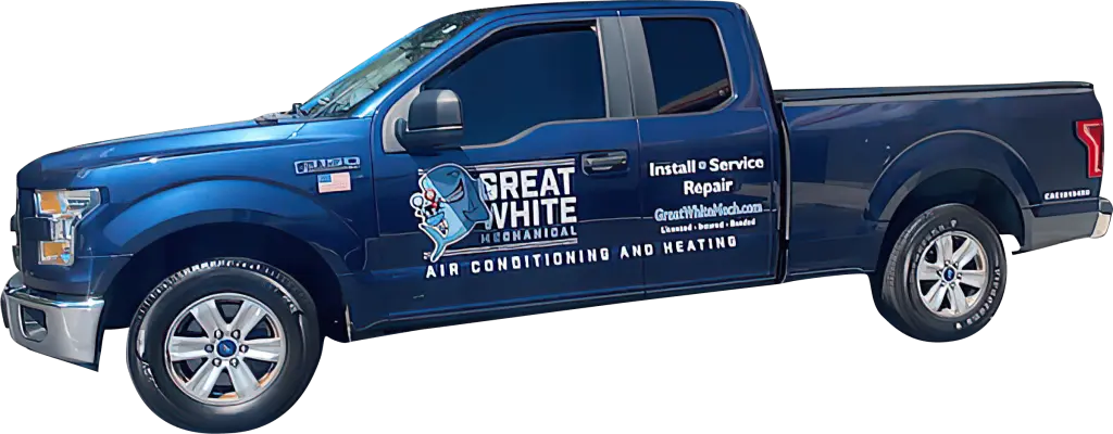 great white