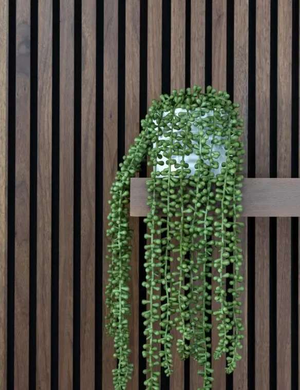 Kitchen Feature Wall Decor