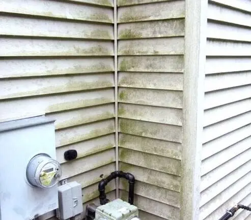 Side view of a house featuring a water meter and an electrical box, indicating utility connections