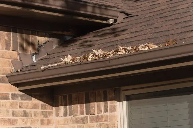A roof gutter filled with colorful autumn leaves, showcasing the seasonal change in foliage.