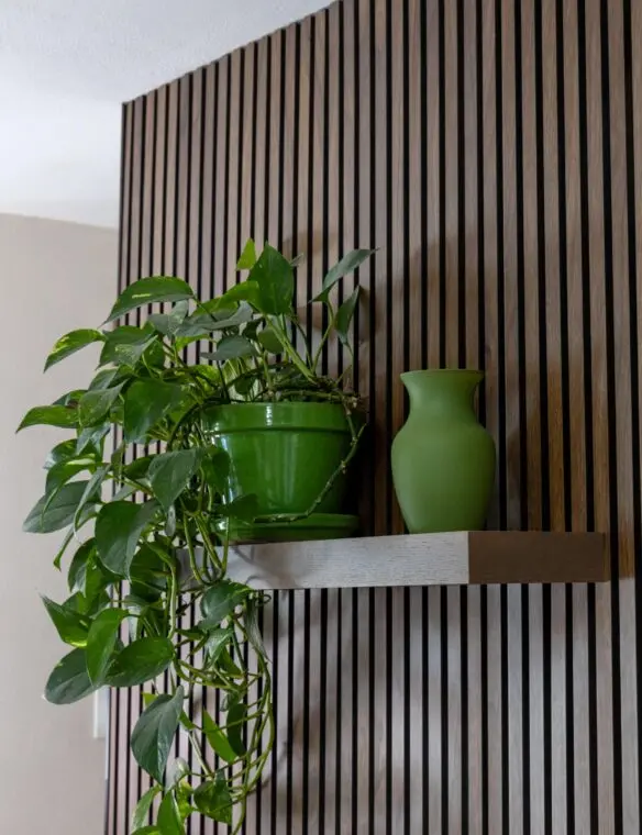 Dining Room Feature Wall Madison WI