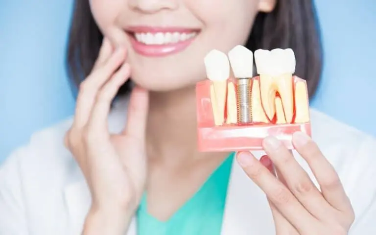 Smiling woman holding dental model showing root and crown structure.