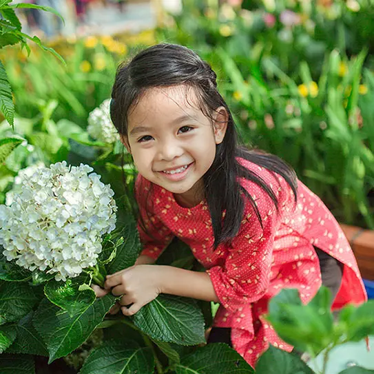 Improving Our Mood and Health With Smiles | VP Dental | Stop Chewing Ice VP Dental | Stop Chewing Ice