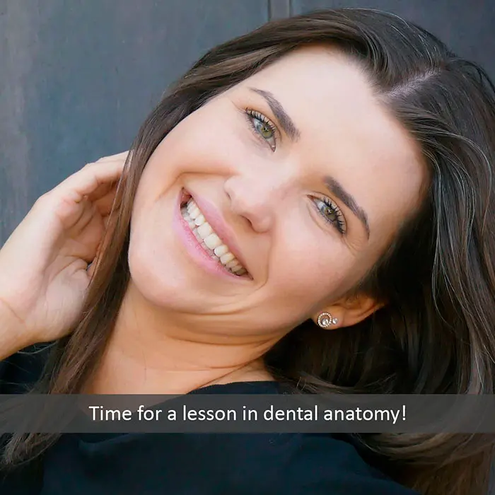 Time for a Lesson in Dental Anatomy! | VP Dental | Stop Chewing Ice VP Dental | Stop Chewing Ice