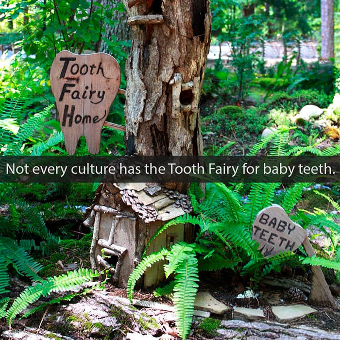 The Tooth Fairy Across Time and Cultures | VP Dental | Stop Chewing Ice VP Dental | Stop Chewing Ice