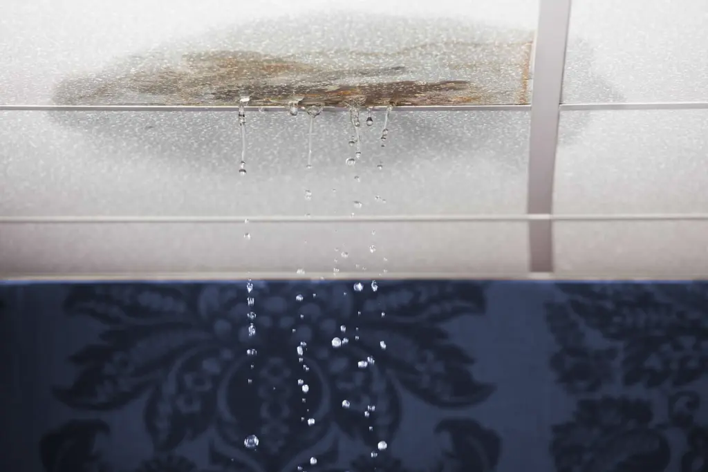 InteriorRoofDamage