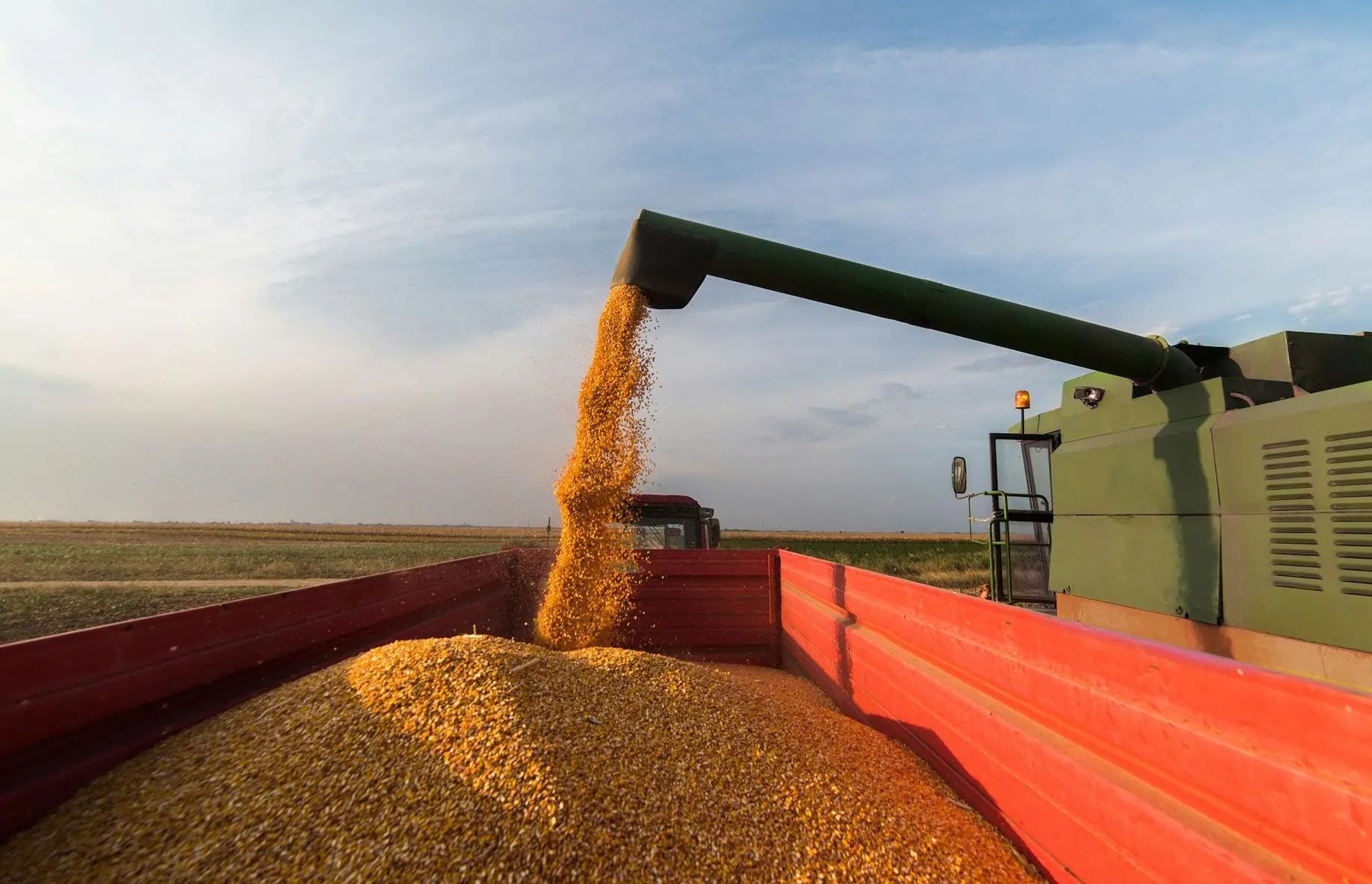 grain storage