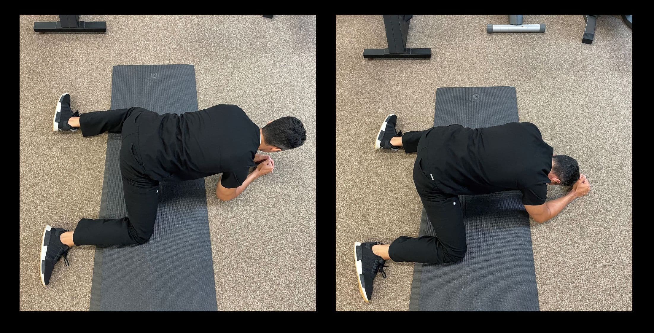 Prone Frog Collage