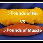 The Difference between BMI and Body Composition 