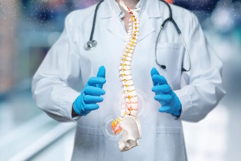 Doctor in a white coat holding a spine model, illustrating back pain treatment, spinal injury care, and chiropractic or orthopedic evaluation.