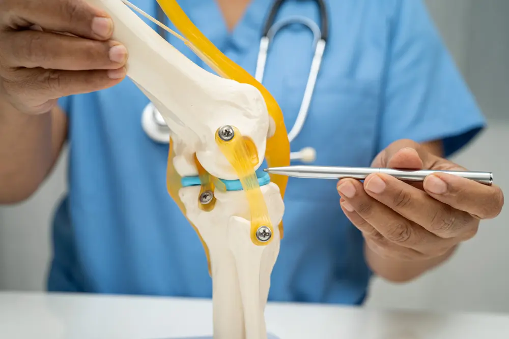 médico sujetando un nervio espinal y un modelo óseo