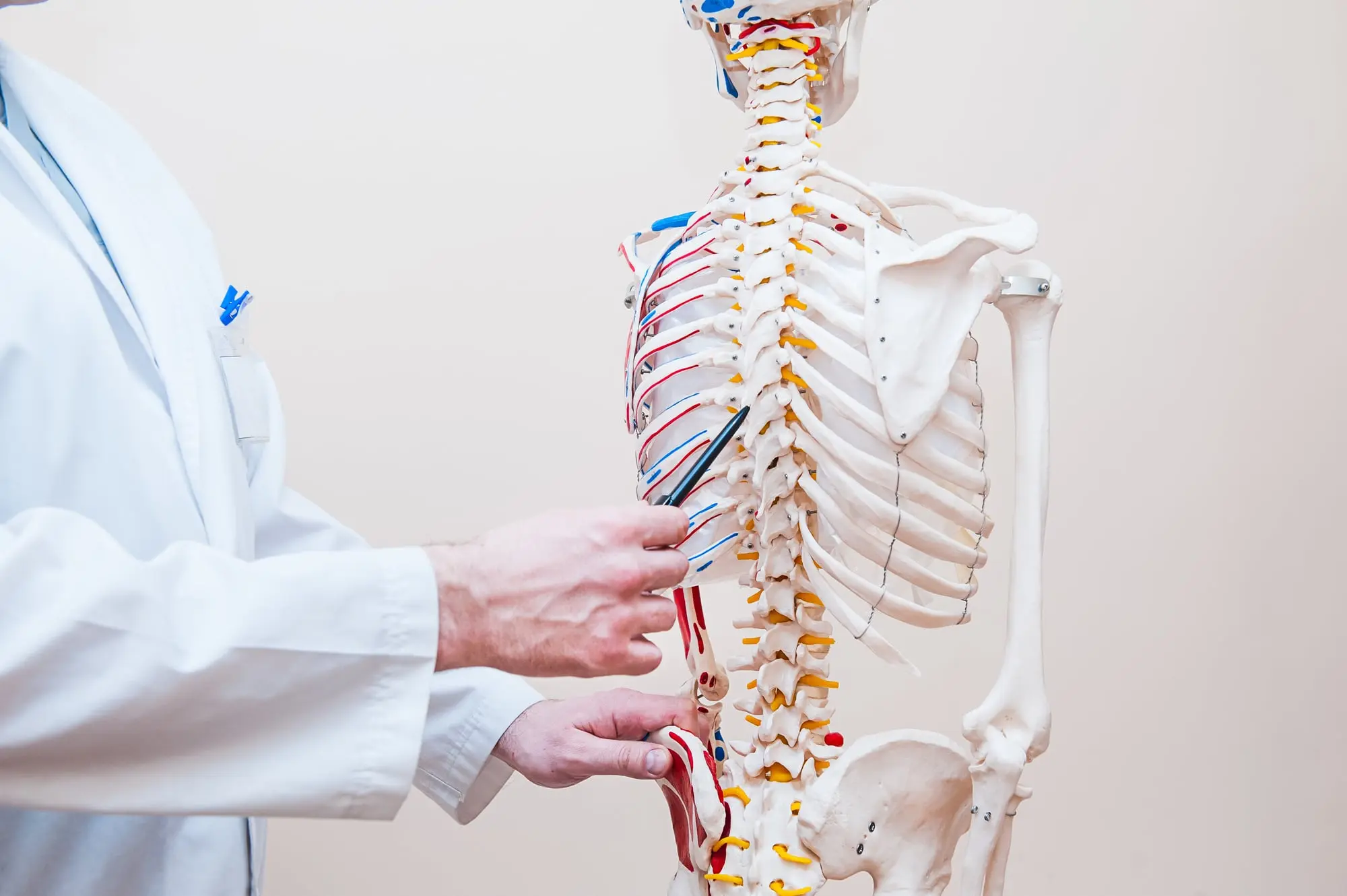 Quiropráctico realizando un ajuste vertebral