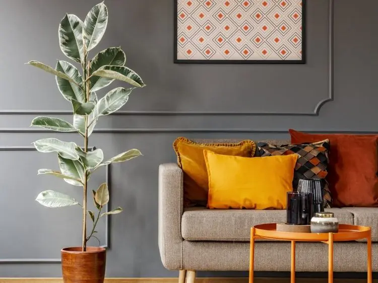 Secrets of Pro Painters: Master Interior Painting Techniques