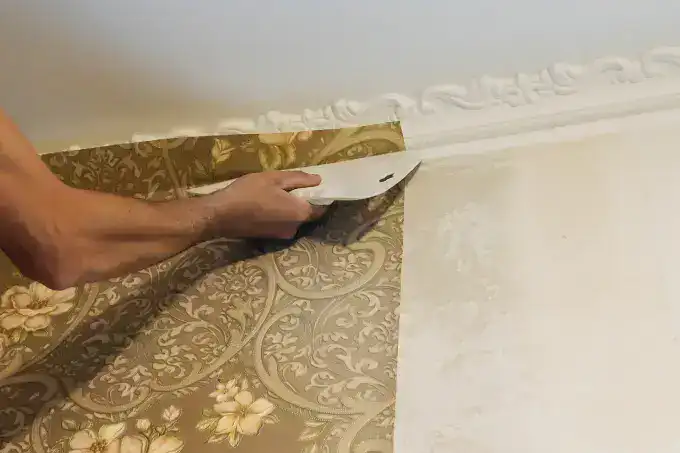Wallpaper Installation in Damascus, MD