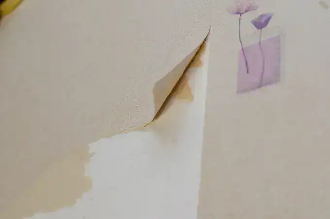 Wallpaper Removal in Damascus, MD