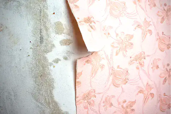 Wallpaper Removal in Ijamsville, MD