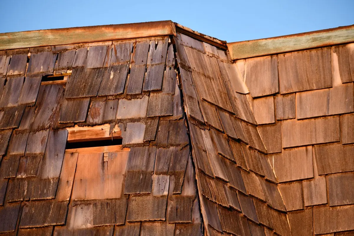 several holes in cedar shake roof