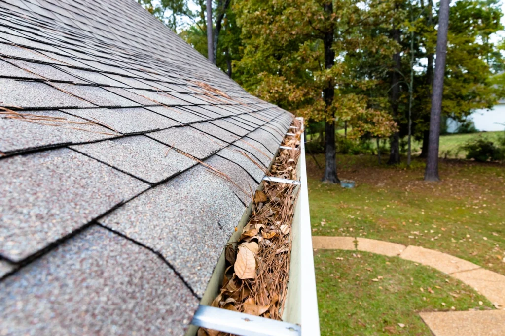 Clogged Gutters