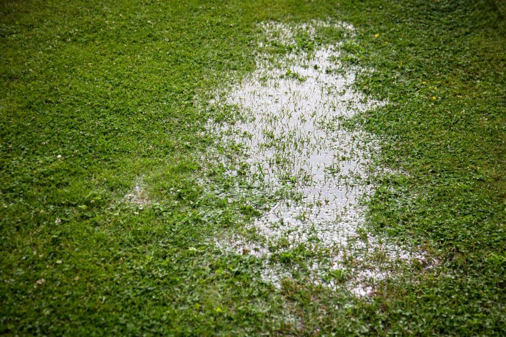 water pressure regulator Flooded Lawn After Rainfall Showing Water Saturation and Drainage Problem on Grass Surface.