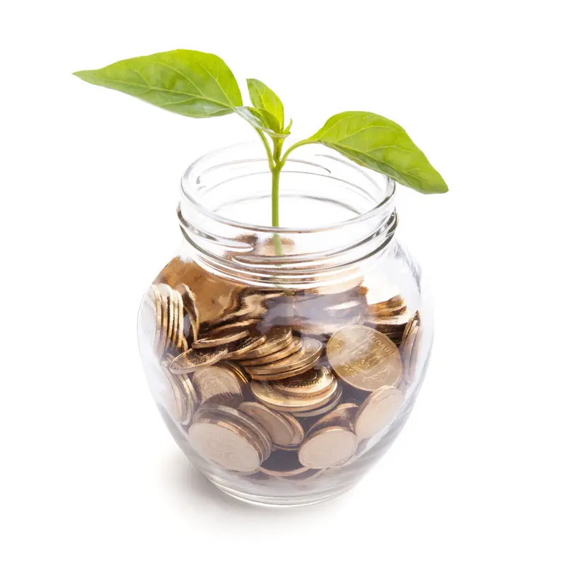 loans