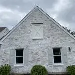 Limewash vs whitewash