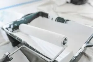 what rollers do professional painters use