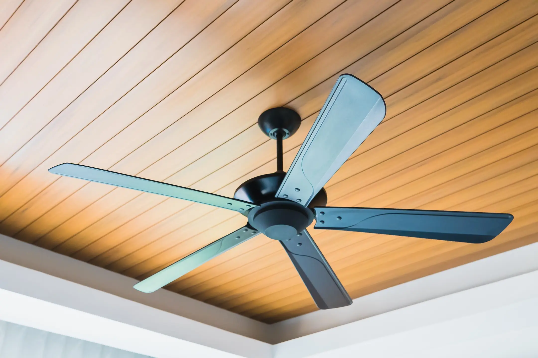 Black Electric ceiling fan decoration interior of room