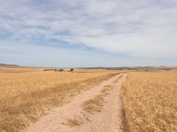 De Hoop AS 2022_090