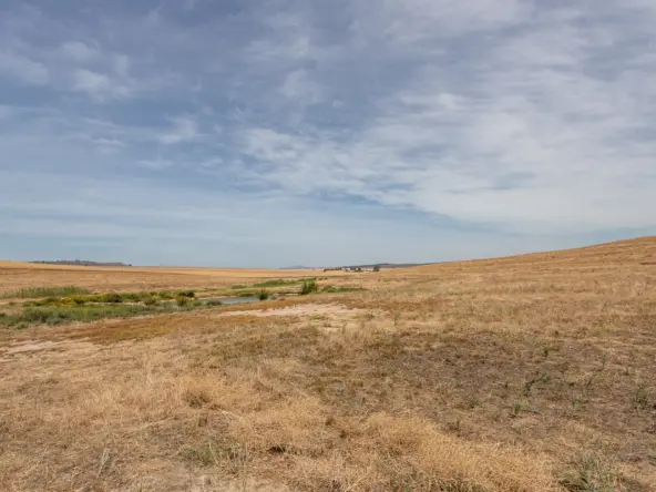 De Hoop AS 2022_084