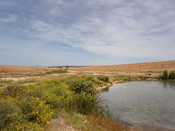De Hoop AS 2022_083
