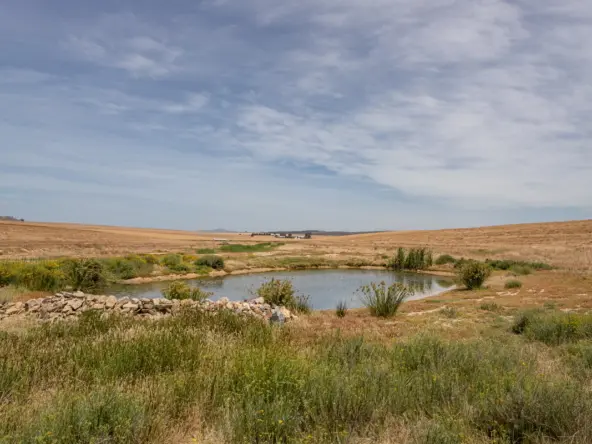 De Hoop AS 2022_081