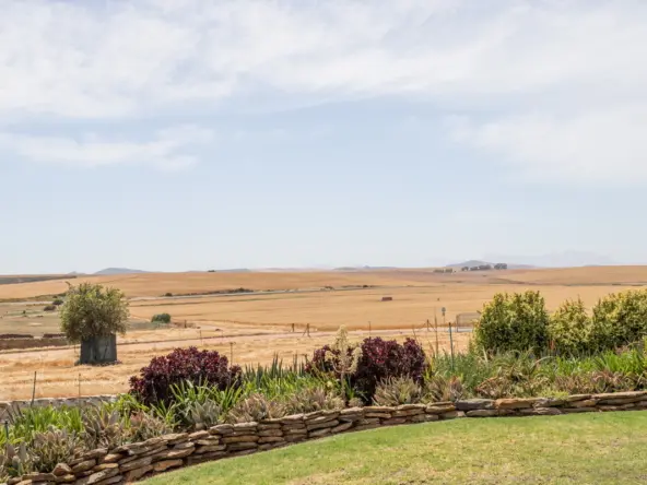 De Hoop AS 2022_026