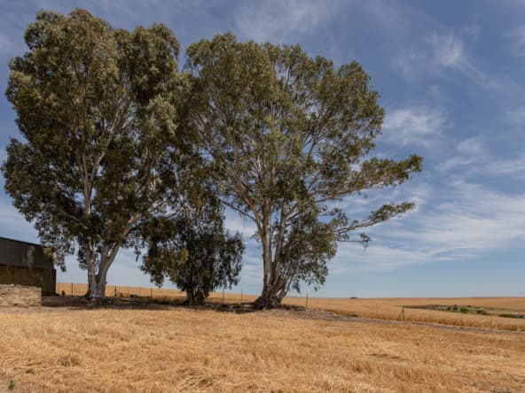 De Hoop AS 2022_042