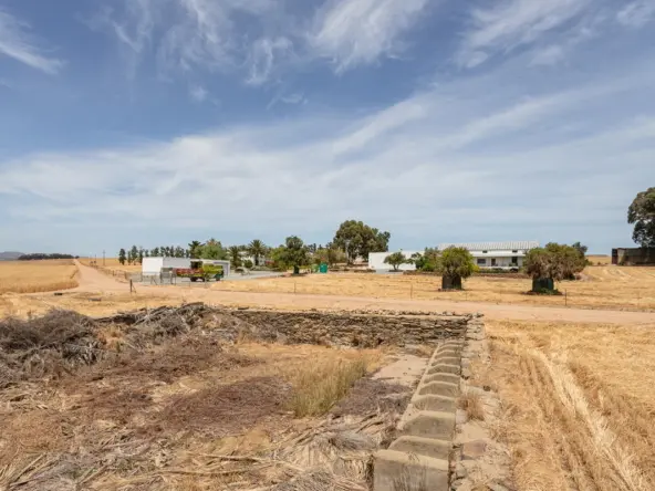 De Hoop AS 2022_080