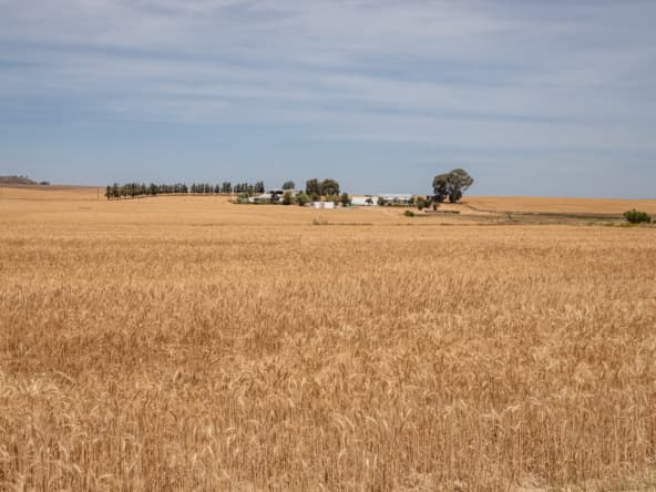 De Hoop AS 2022_073