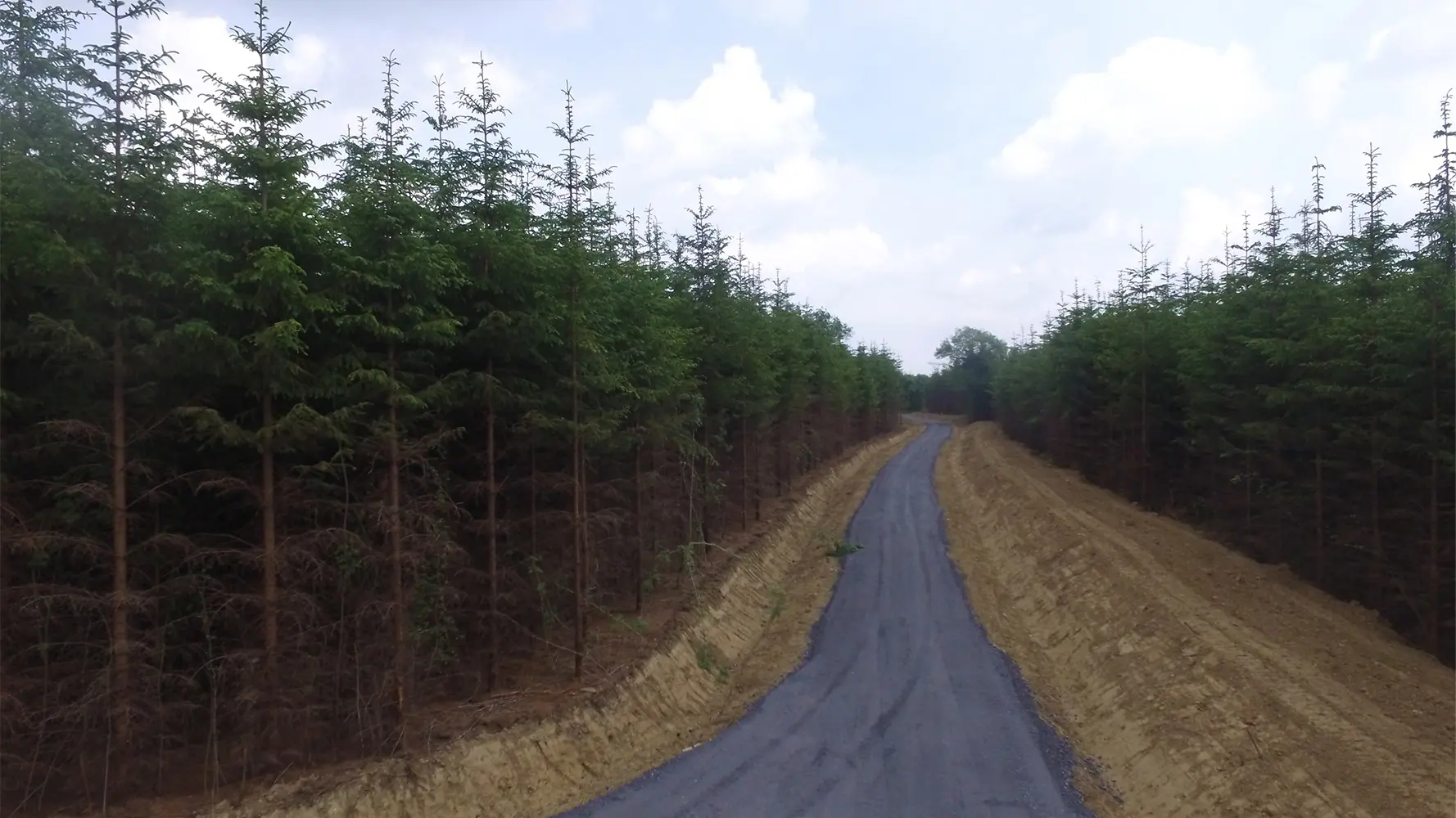 1. Forest Road Construction_1
