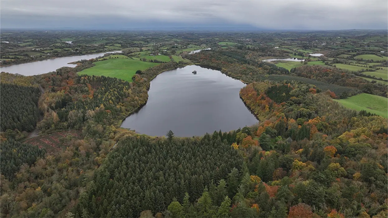 FARNHAM OCTBER AUTUMN DRONE (14)