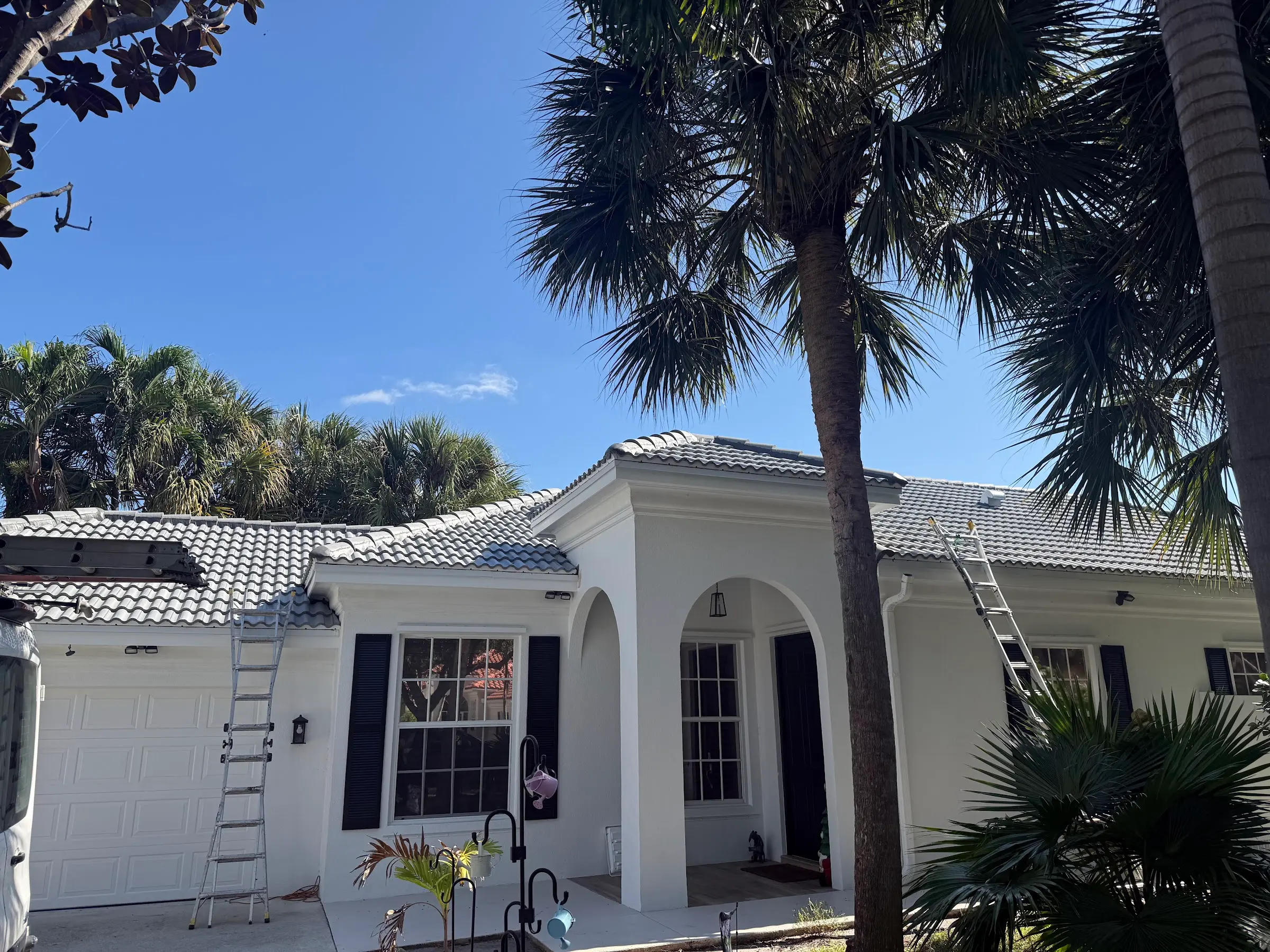 White Florida home with palm tree and new roof