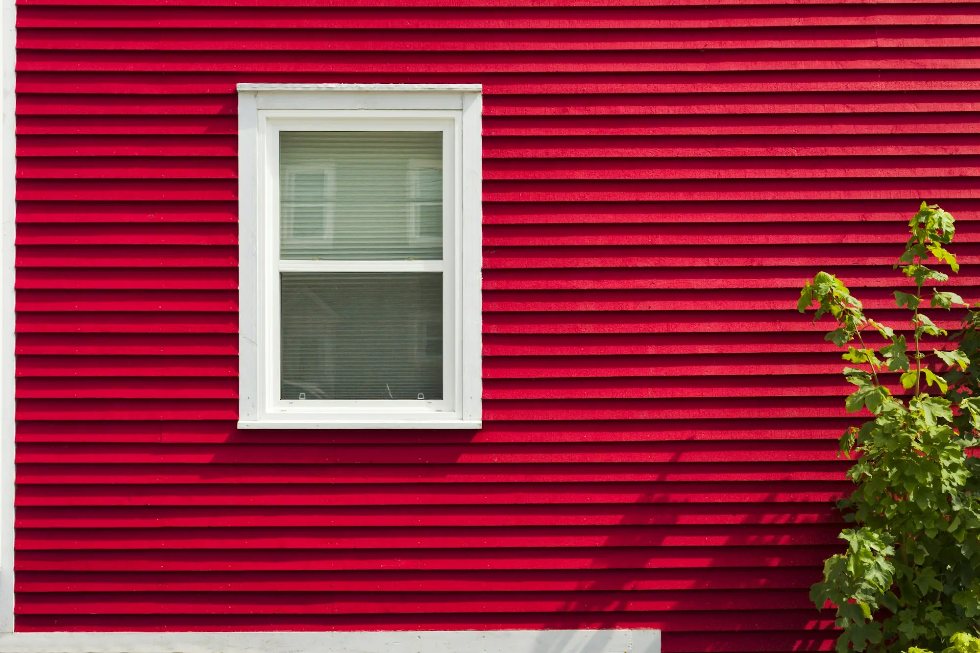 Horizontal siding with white window trim