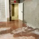 Base de referencia con daño al agua, mostrando suelo inundado y puerta abierta, ilustrando las complejidades de las reclamaciones por daños al sótano relacionadas con la pérdida de propiedades.