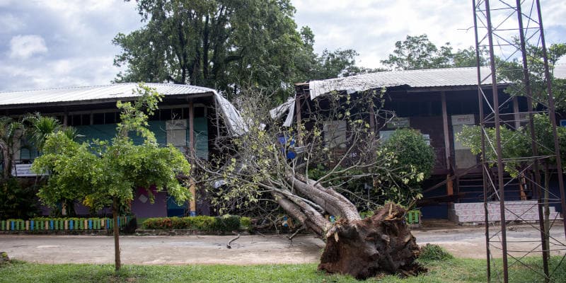 Storm-damaged building with uprooted tree, illustrating severe weather impact on property and need for restoration services.