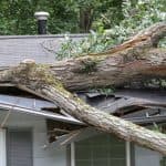 Rama del árbol causando daño de tormenta en el techo residencial, destacando la necesidad de seguro de daños de tormenta reclama asistencia.