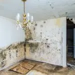 Daño moldeado en un interior de casa con paredes de peeling y una araña, lo que ilustra la necesidad de servicios de restauración de daños al agua.