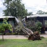 Árbol caído en propiedad residencial después del daño de tormenta, destacando la necesidad de servicios de restauración y asistencia de reclamos de seguros de los Ajustadores Públicos de Santex.