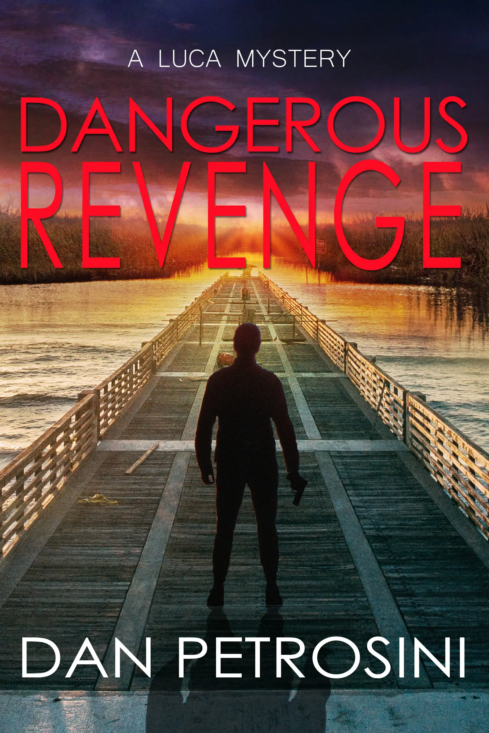 Dangerous Revenge