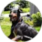 Peter Healy Avatar