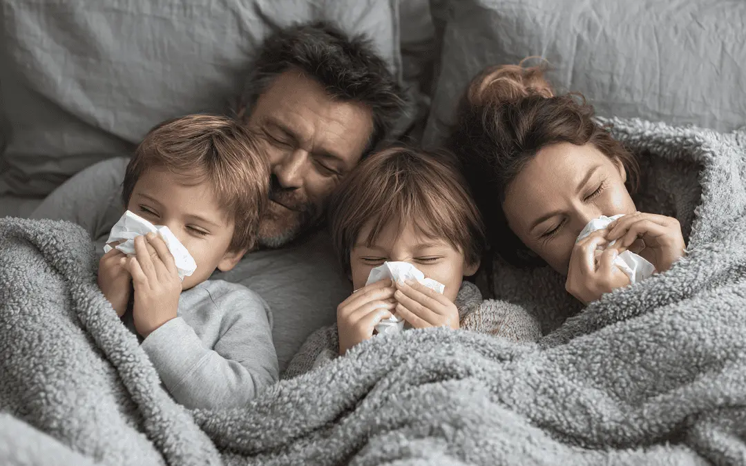 Flu Flu